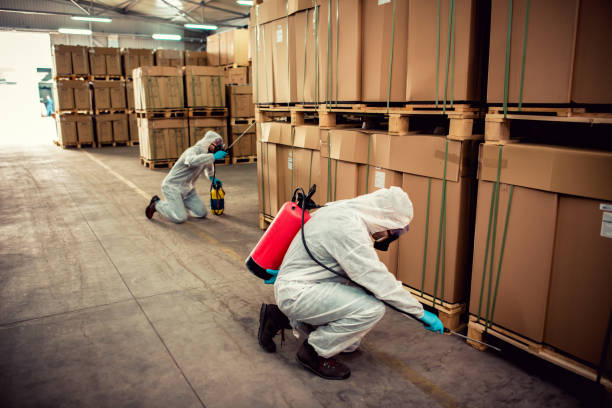 Best Pest Control for Homes  in Crystal Lake, IL