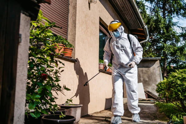 Best Mosquito Control Services  in Crystal Lake, IL