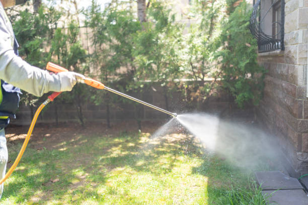 Best Spider Control Near Me  in Crystal Lake, IL