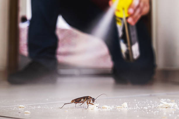 Best Emergency Pest Control  in Crystal Lake, IL